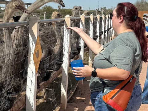 Rooster Cogburn Ostrich Ranch-Picacho必去景点