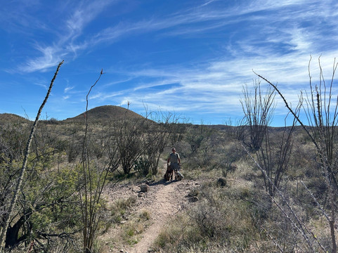 Patagonia Lake State Park-Patagonia必去景点
