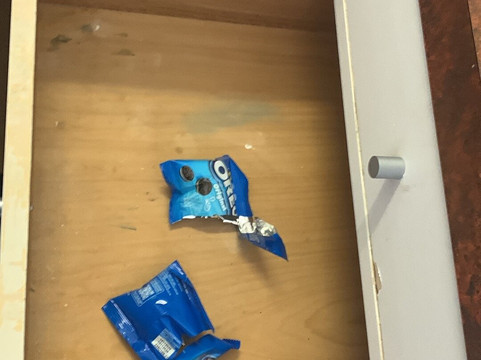 乡村家庭汽车旅馆主图