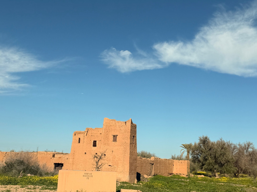 Enjoy Morocco Tours-卡萨布兰卡必去景点