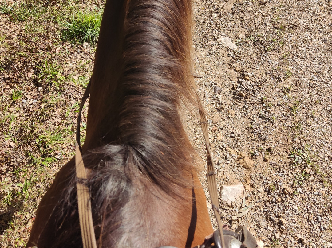 Horse Riding Penela-Espinhal必去景点