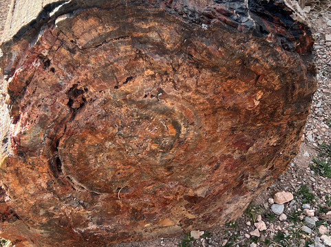 Grand Canyon Caverns-皮奇斯普林斯必去景点