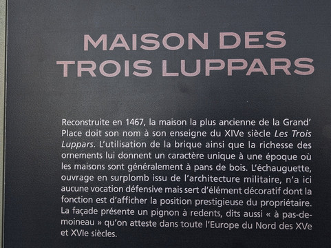 莱斯托鲁帕酒店主图