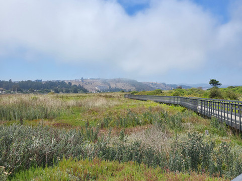 Humedal Rio Maipo-圣安东尼奥必去景点