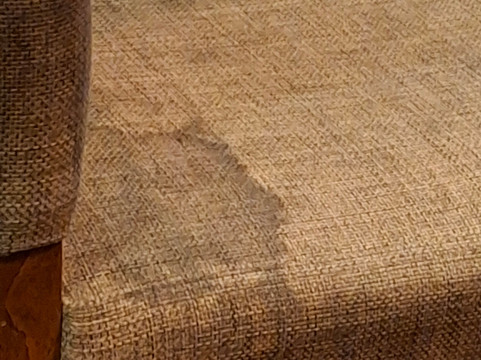 伍斯特 (M5,Jct6)普瑞米尔酒店主图