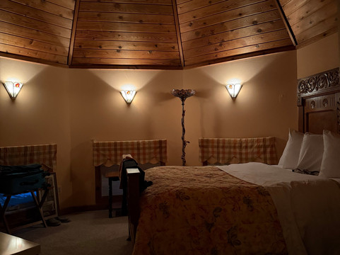 小天鹅酒店主图