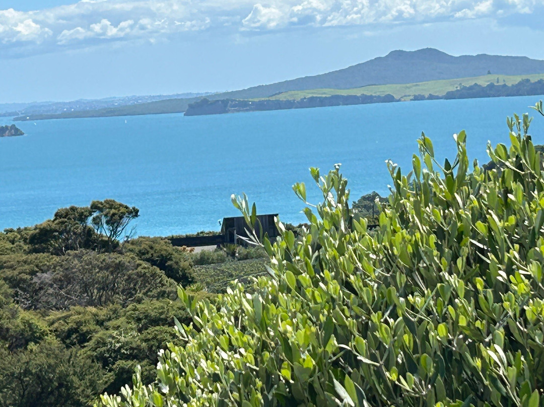 Big Aroha Tours-怀系奇岛必去景点