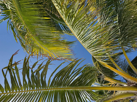 Maroma Beach-普拉亚德尔卡曼必去景点