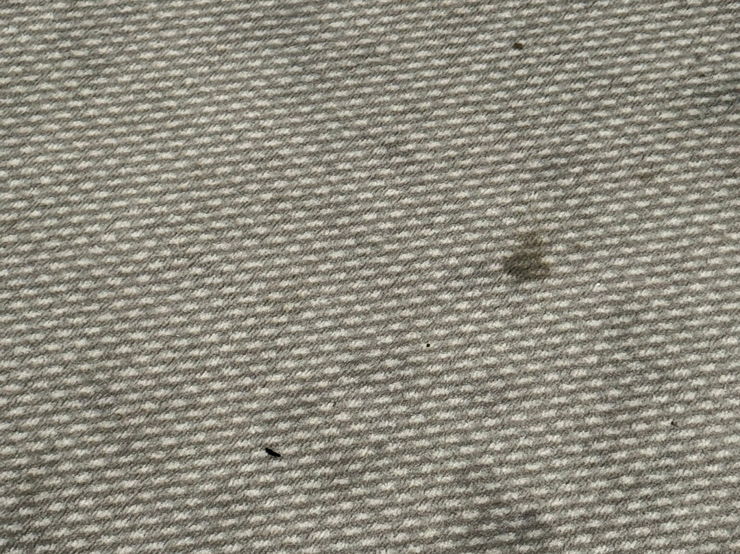 罗森海姆智选假日酒店主图