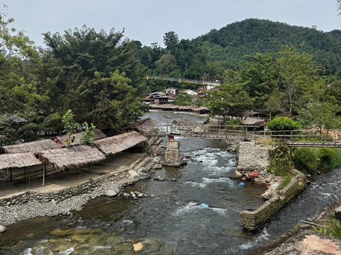 Sumatra orangutan escape-棉兰必去景点
