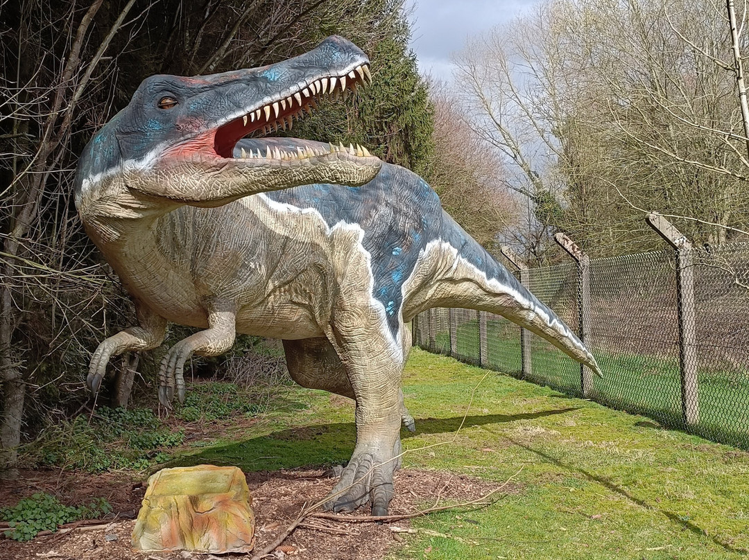 Hoo Zoo And Dinosaur World-特尔福德必去景点