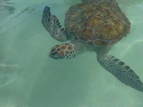 Tyman Fishing Charters-Spanish Wells必去景点