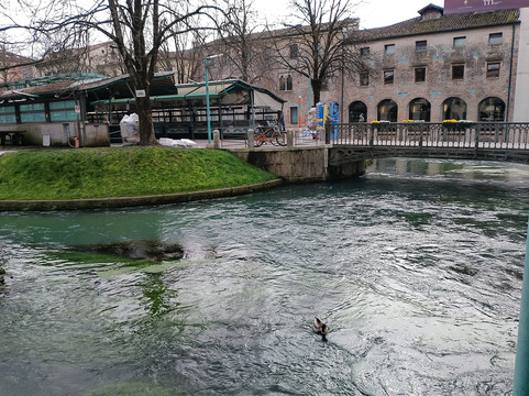 Isola della Pescheria-特雷维索必去景点