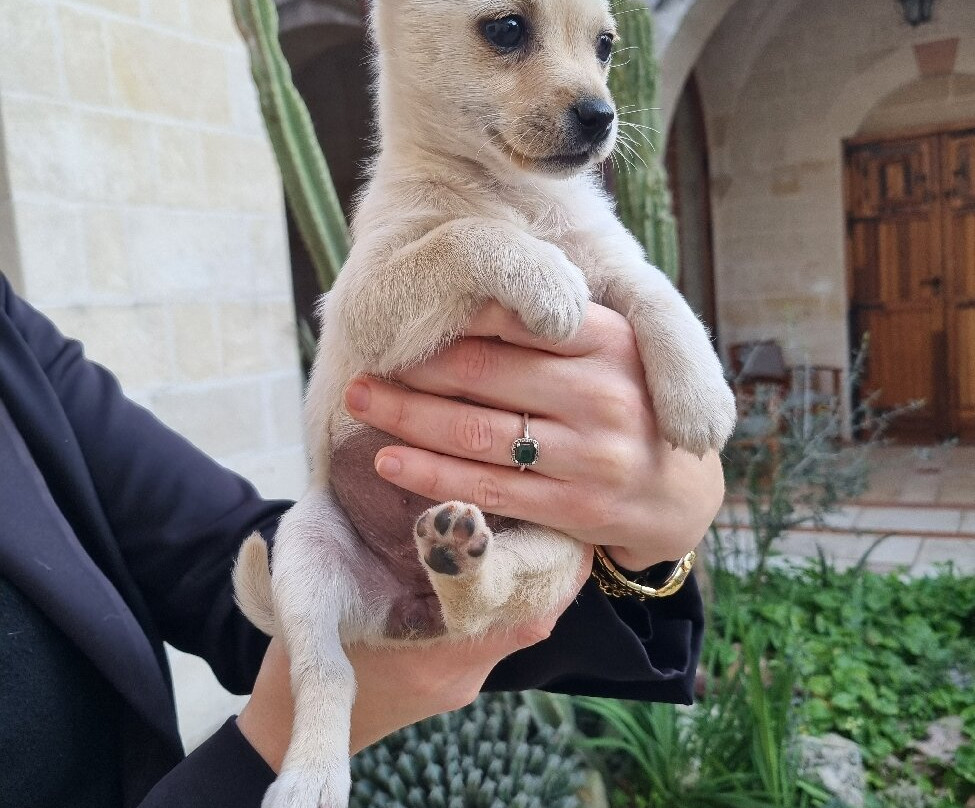 马塞里亚拉米耶酒店主图