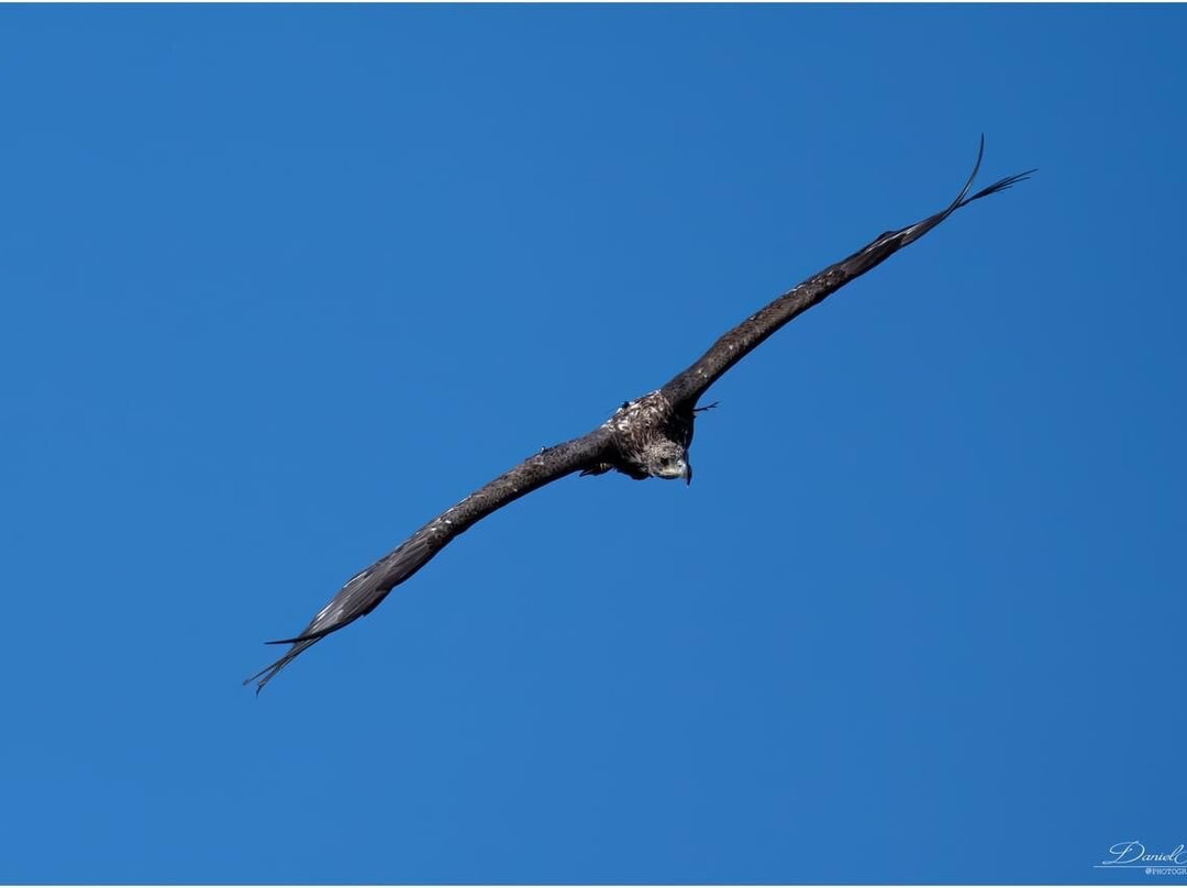 Wild World-Porto Potenza Picena必去景点