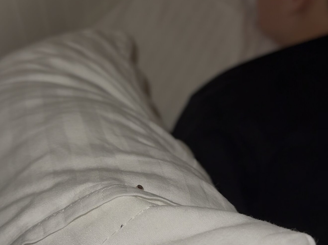 圣迈克尔酒店主图