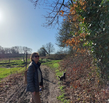 Vlooybergtoren-Tielt Winge必去景点