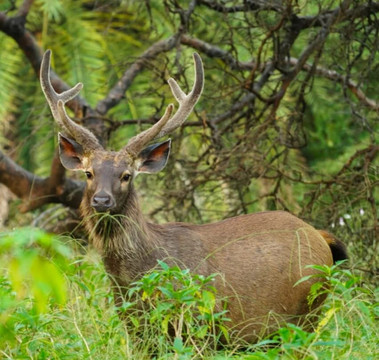 My Rajasthan Trip-斋蒲尔必去景点