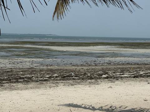 Kijiji Beach Resort主图