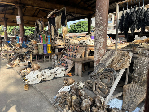 Akodessewa Fetish Market-洛美必去景点