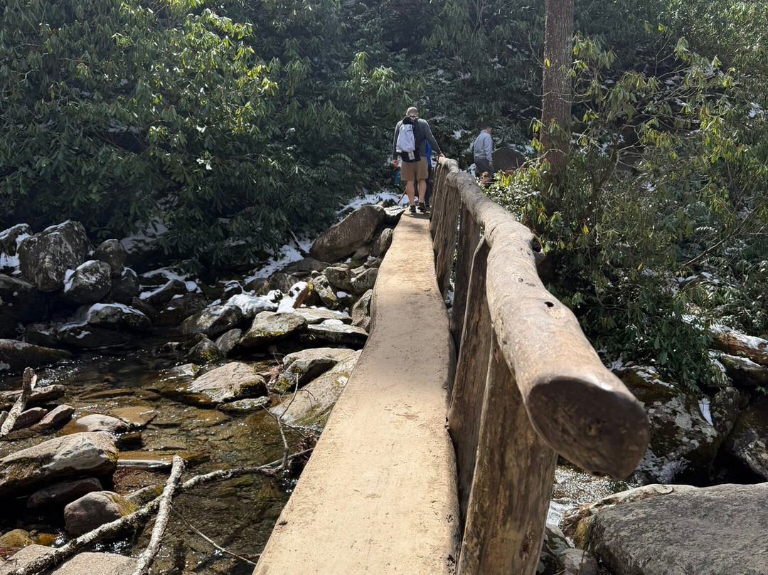 Rainbow Falls Trail-大雾山国家公园必去景点