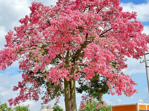 双龙桥-建水县必去景点