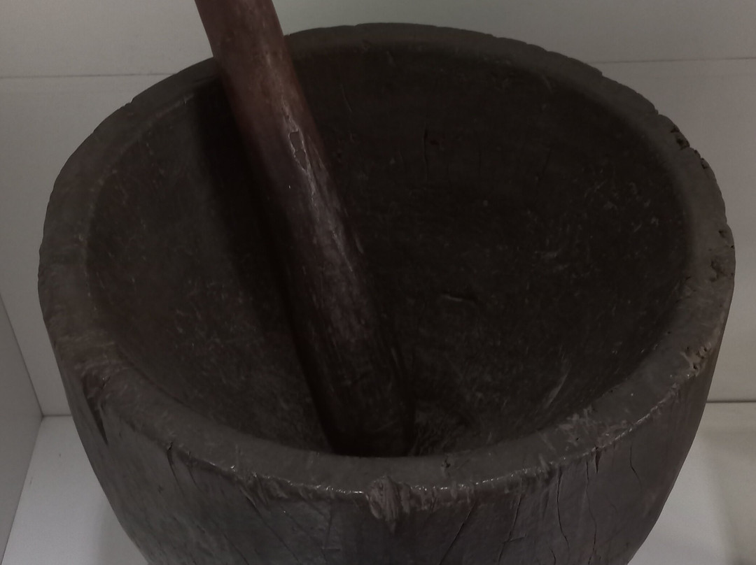 Parque Zoologico Municipal Quinzinho De Barros-索罗卡巴必去景点