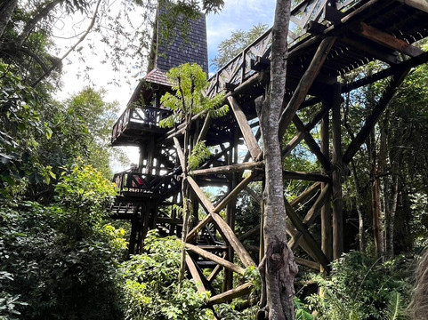 Bosque Alemão-库里提巴必去景点