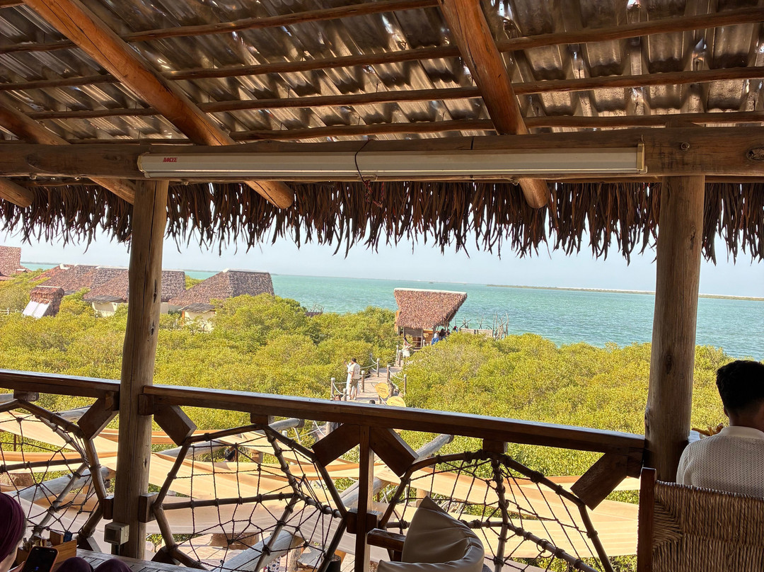 Casa Mikoko