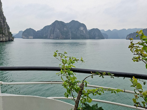 Vietnam Buffalo Travel-河内必去景点