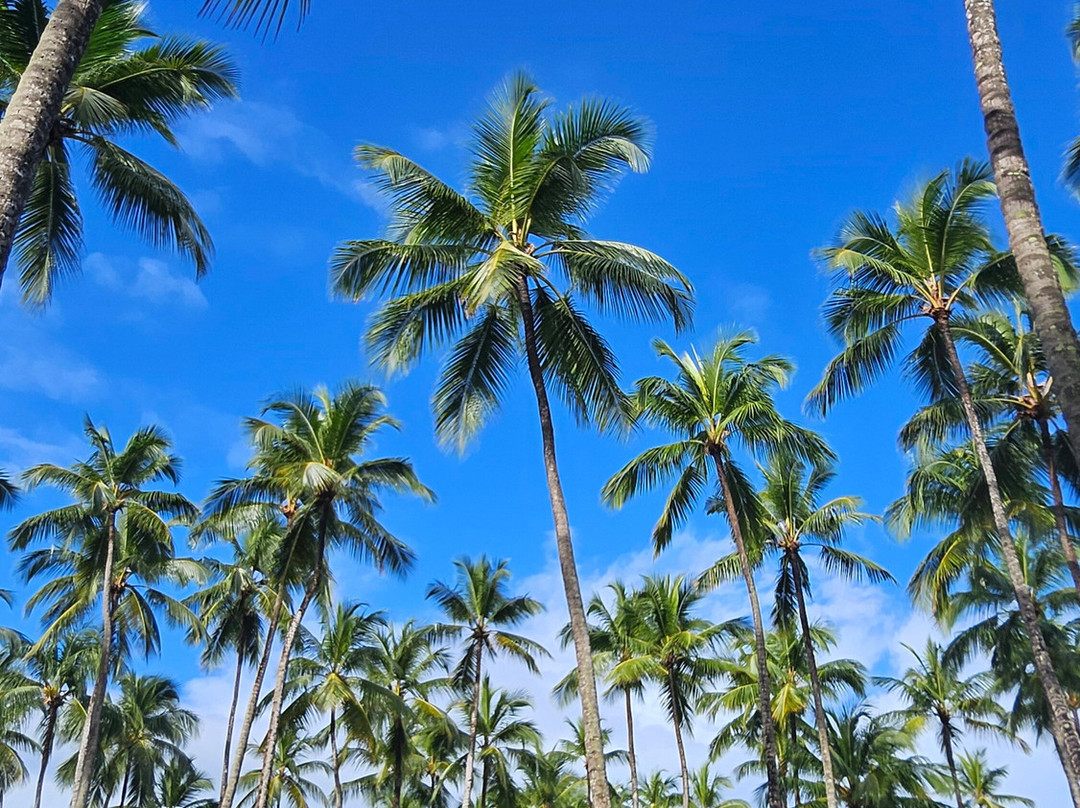 Playa Coson-拉斯特拉纳斯必去景点