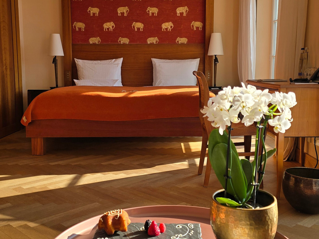 爱尔茂城堡酒店主图