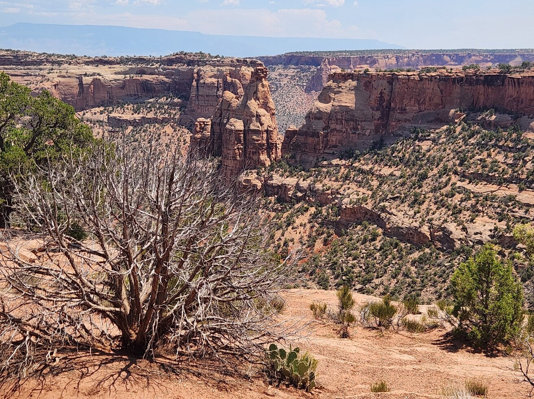 Colorado National Monument-科罗拉多必去景点