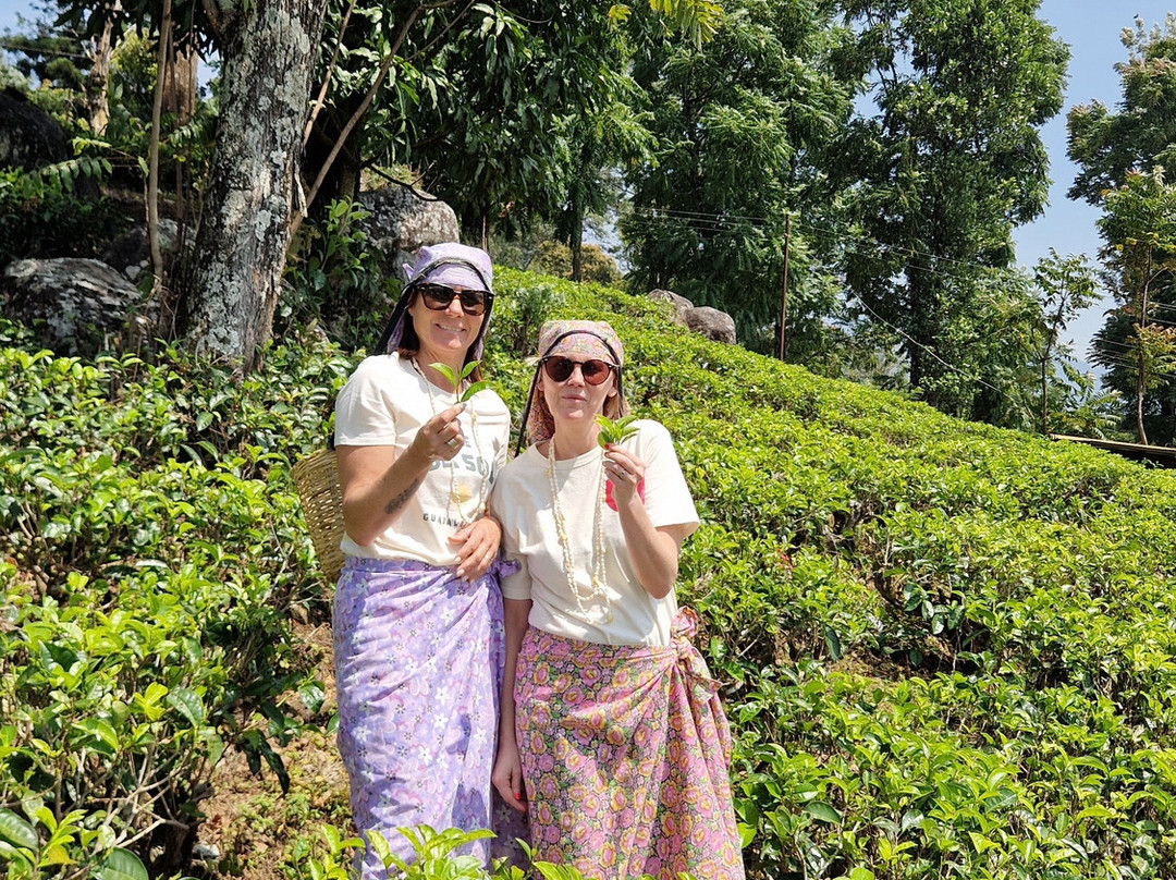 Voyager Sri Lanka by S. P. PATHIRANA (PVT) LTD-Maharagama必去景点