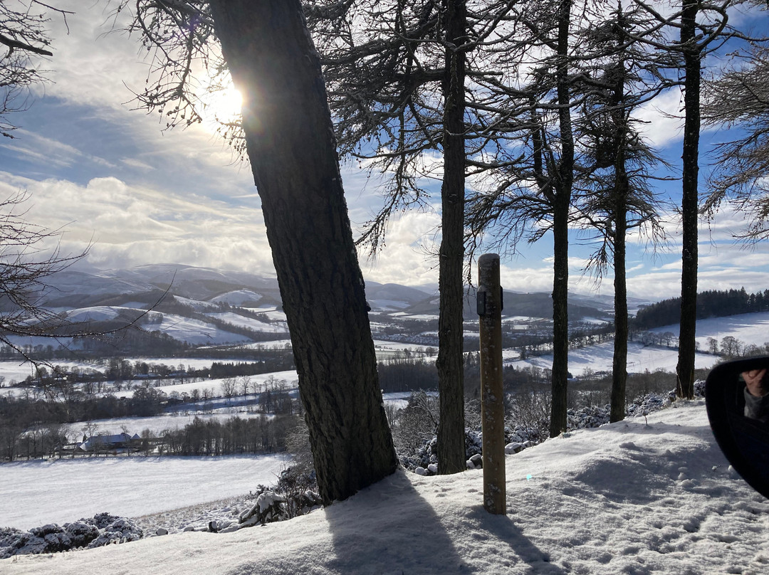 Glentress Forest-皮布尔斯必去景点