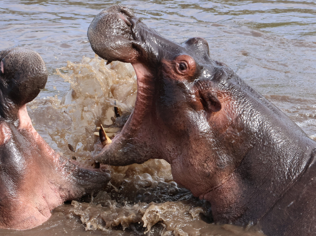 Evergreen Escape Expeditions - Africa-南由基必去景点