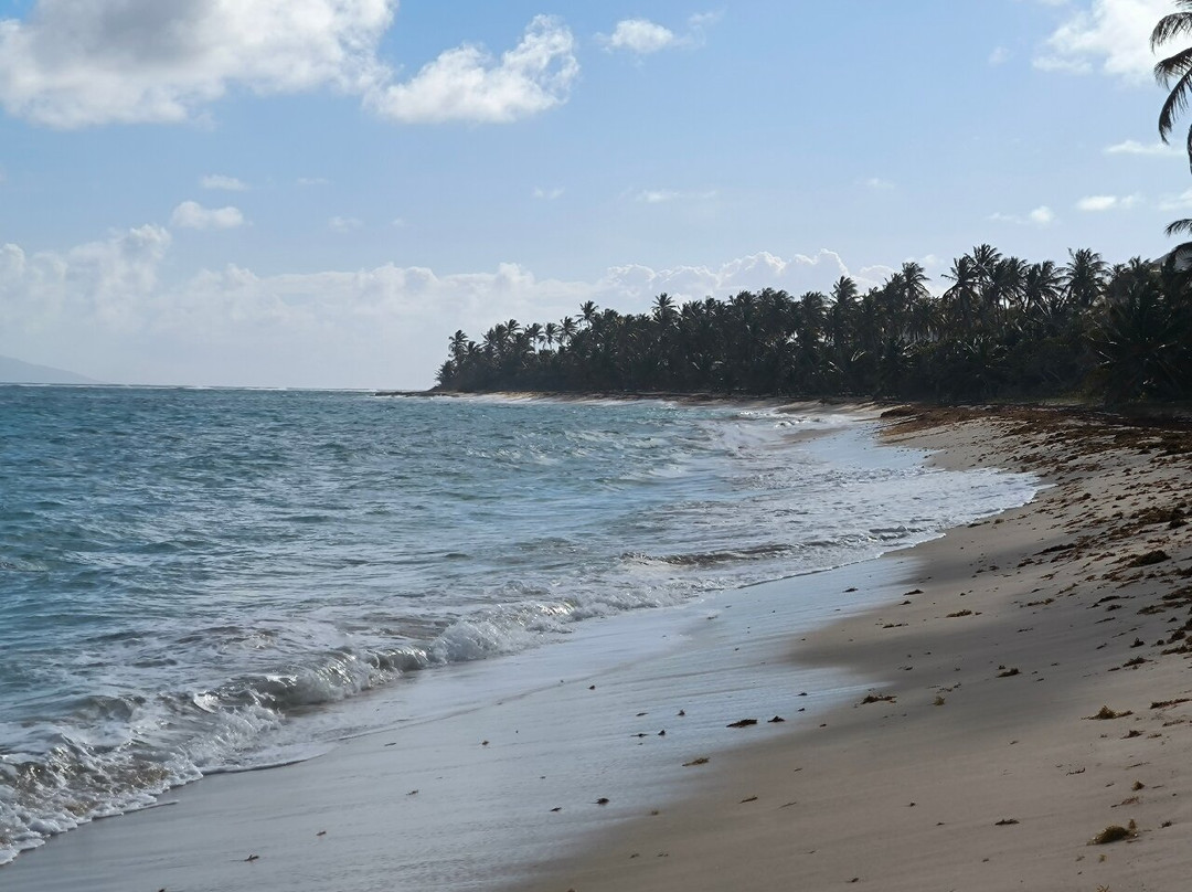 Feuillere Beach-Capesterre必去景点