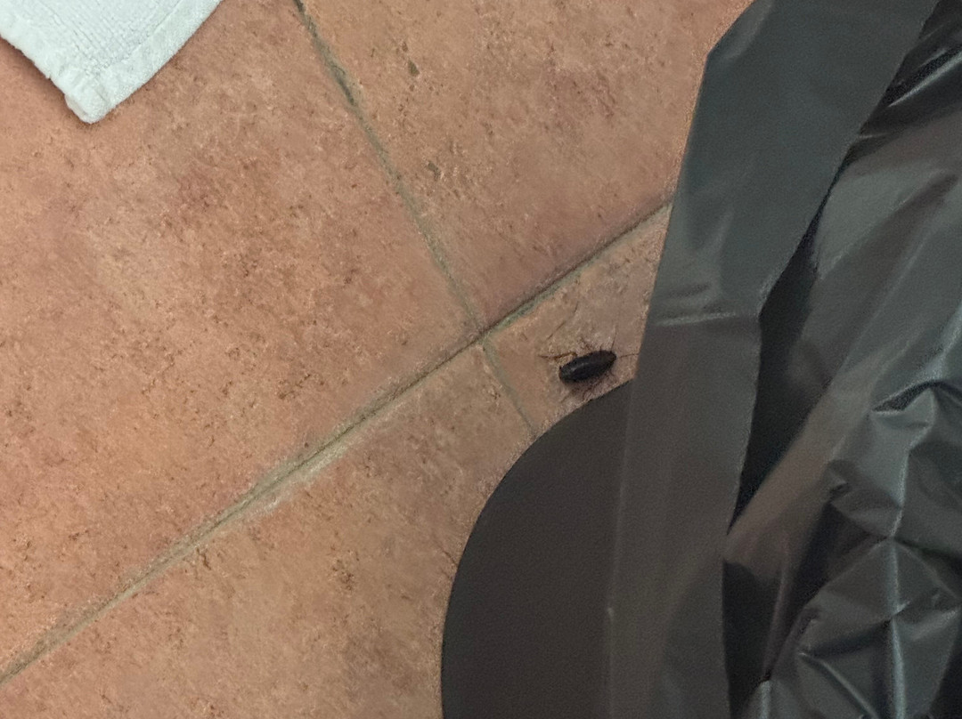 拉文纳汽车酒店主图