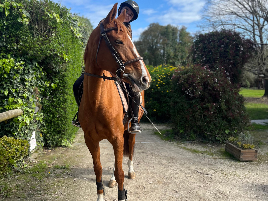 Escola Equestre de Aveiro | Quinta Pedagógica & Escola Equestre-阿威罗必去景点