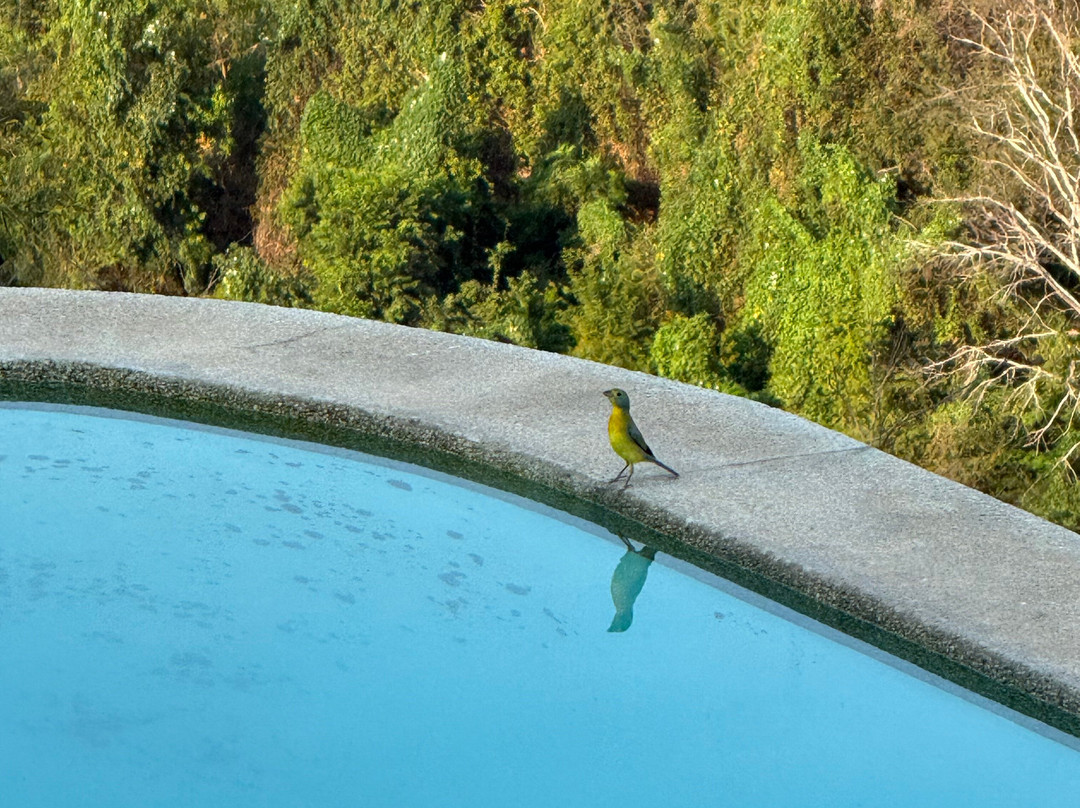 Sweet Retreats Casa Chango-埃斯孔迪多港必去景点