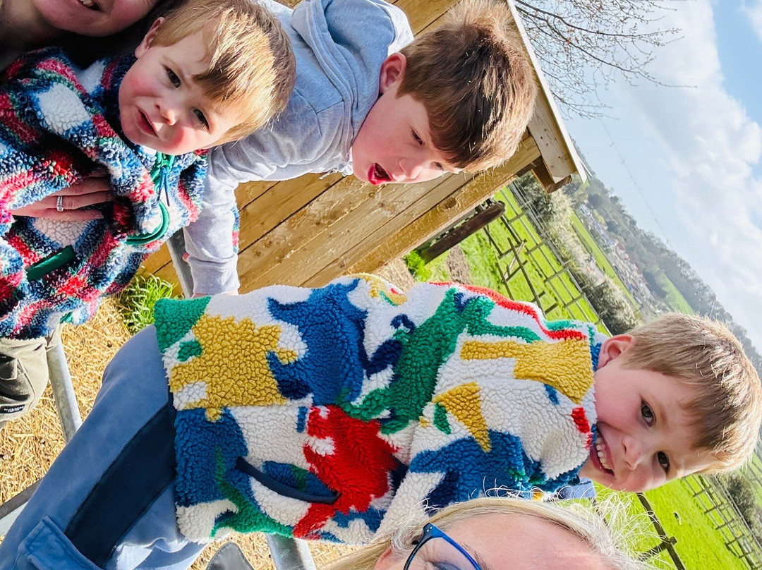 Court Farm Country Park-Banwell必去景点