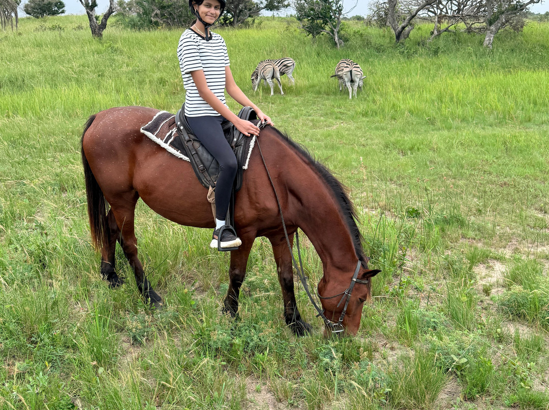 Bhangazi Horse Safaris-圣露西亚必去景点