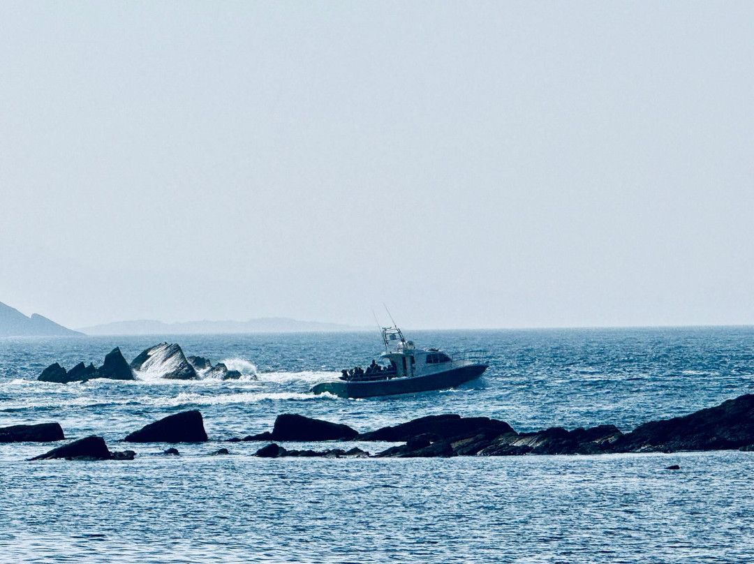 Skellig Michael Landing Tours on Force Awakens-Ballinskelligs必去景点