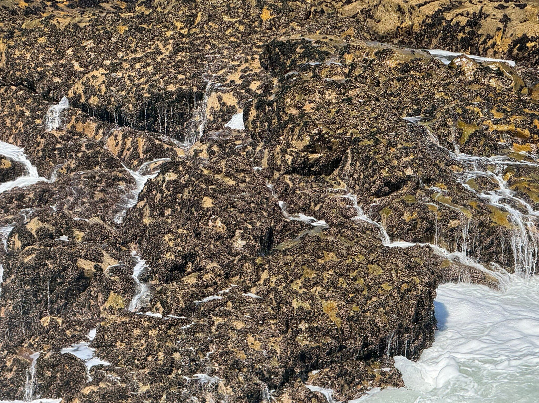 Molhe e Farolim de Felgueiras-波尔图必去景点