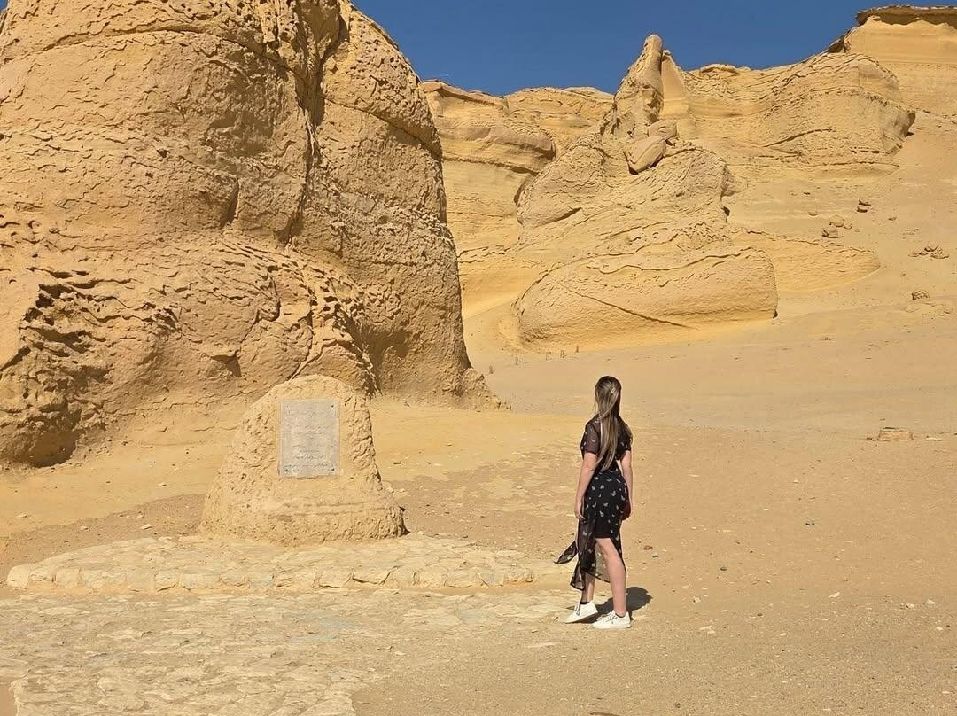 Wadi El-Rayan-法尤姆必去景点