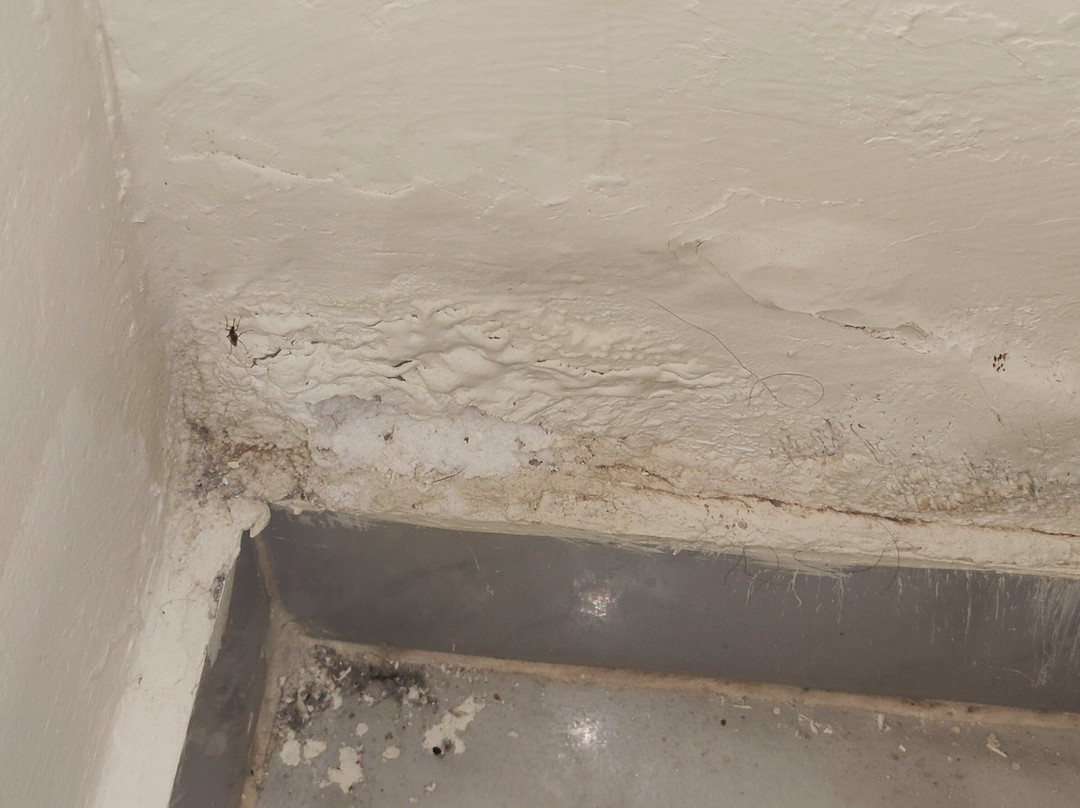 Jungle Aqua Park-赫尔格达必去景点