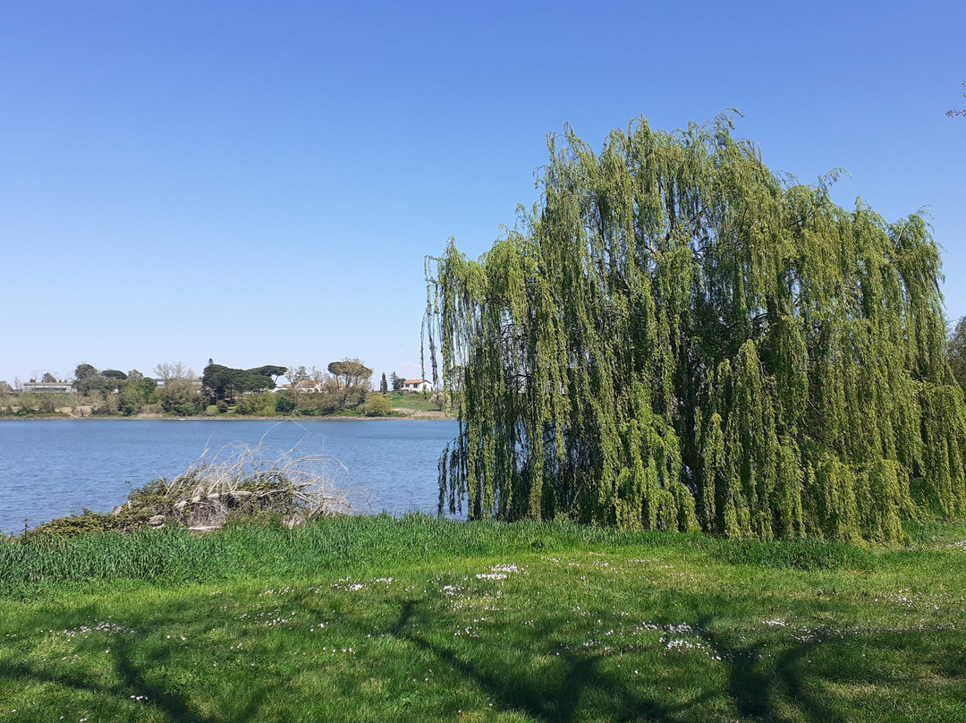 Lago di Monterosi-Monterosi必去景点