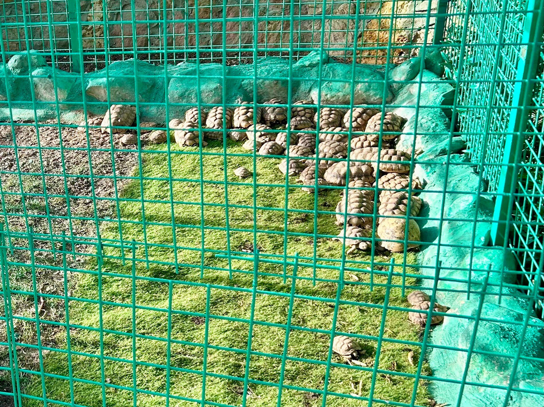 Hurghada Grand Aquarium-赫尔格达必去景点