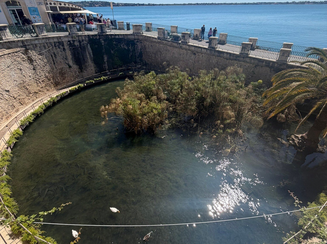 Sicily Private Tours by Luca-墨西拿必去景点