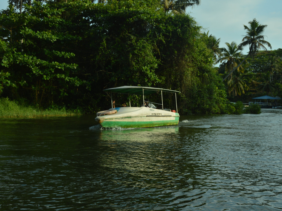 Poovar Backwater Cruise-Poovar必去景点